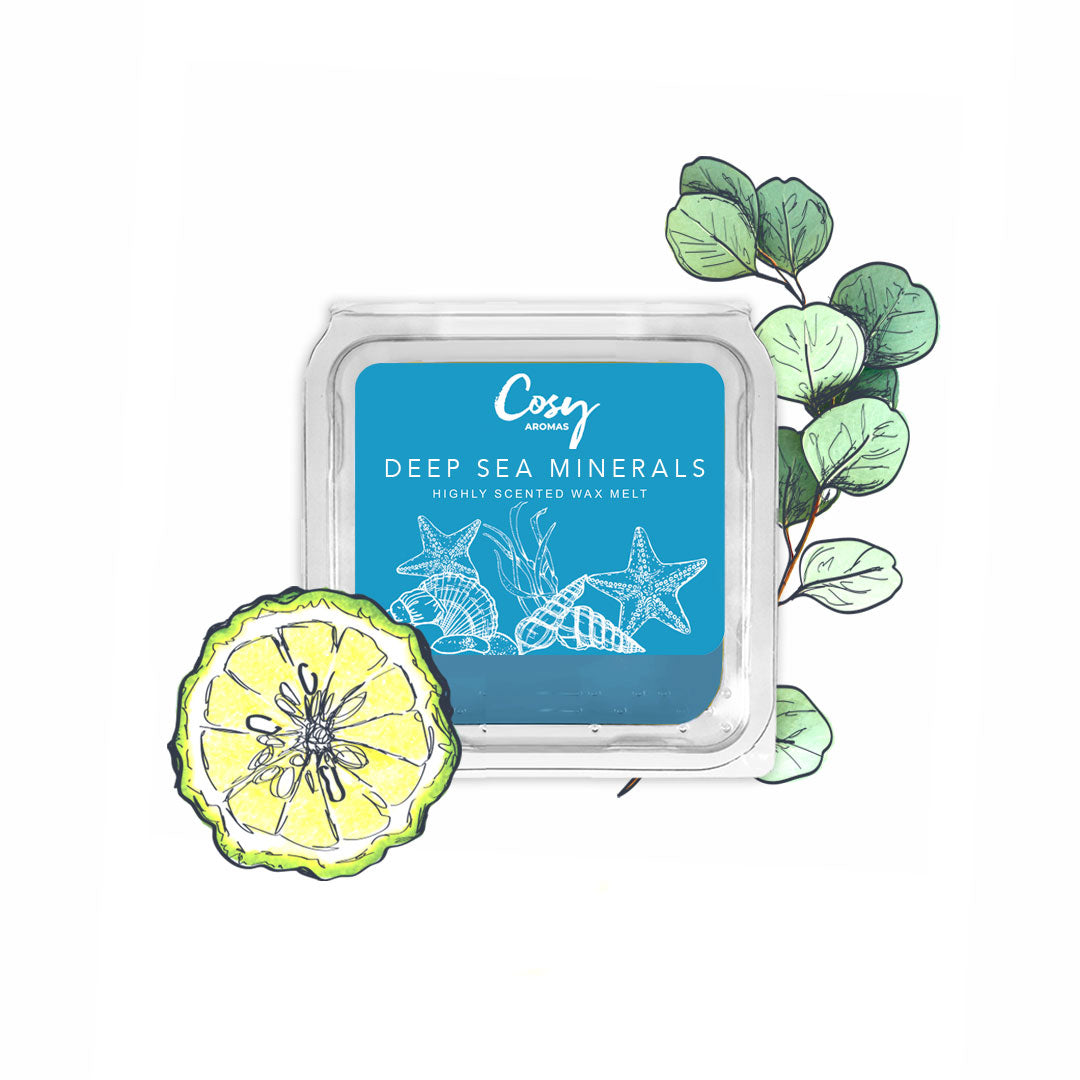 Deep Sea Minerals - 25g Wax Melt