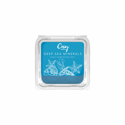 Our 4 Most-Loved Wax Melts (25g)
