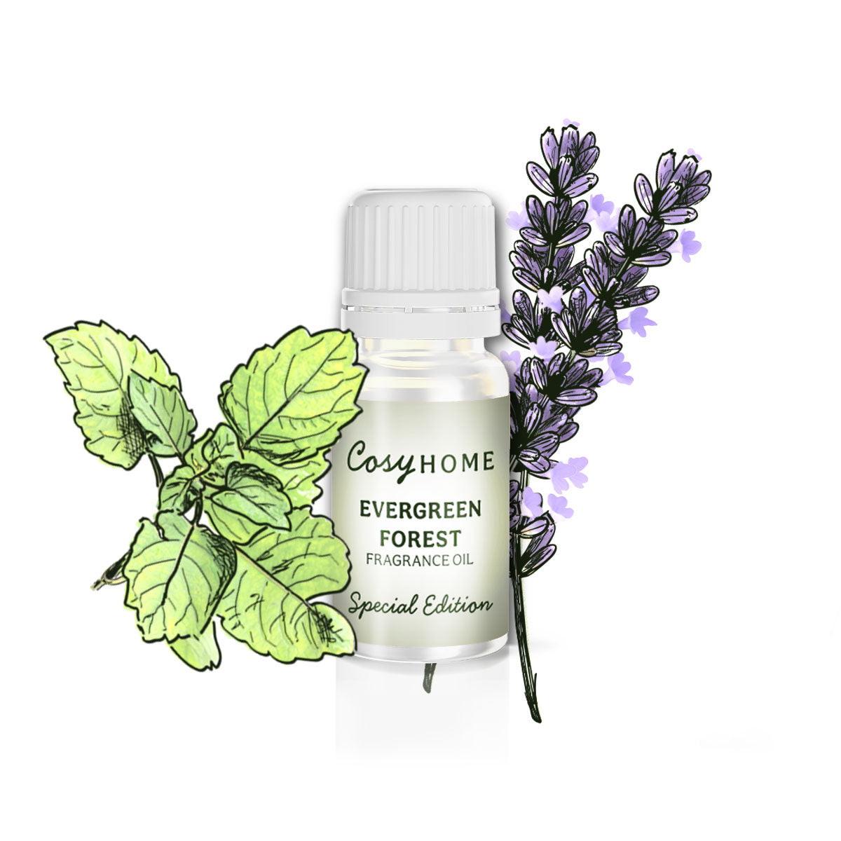 Evergreen Forest Fragrance Oil