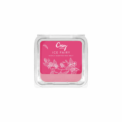 Our 4 Most-Loved Wax Melts (25g)