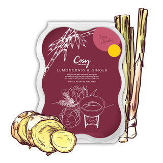 Lemongrass & Ginger 100g Wax Melt