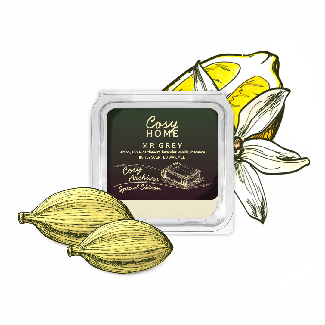 Mr Grey (Inspired By) 25g Wax Melt