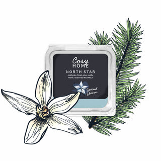 North Star - 25g Wax Melt