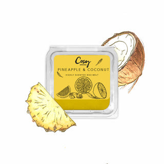 Pineapple & Coconut - 25g Wax Melt