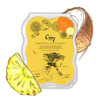 Pineapple & Coconut 100g Wax Melt