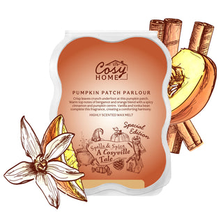 Pumpkin Patch Parlour - 100g Wax Melt