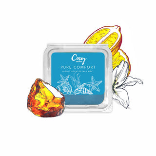 Pure Comfort - 25g Wax Melt