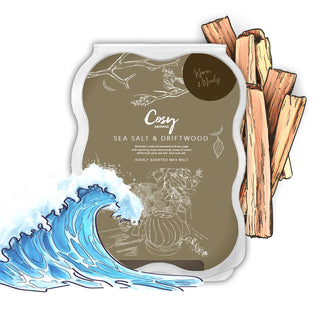 Sea Salt & Driftwood 100g Wax Melt