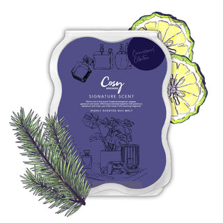 Signature Scent 100g Wax Melt