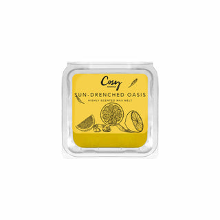 Sundrenched oasis 25g wax melt