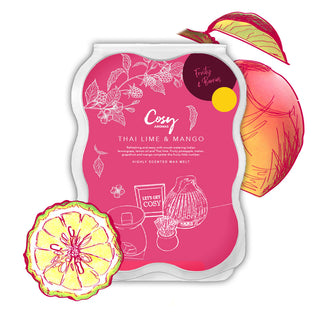 Thai Lime & Mango 100g Wax Melts