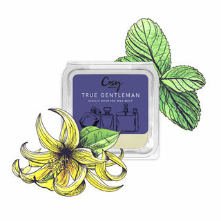 True Gentleman Wax Melt - 25g