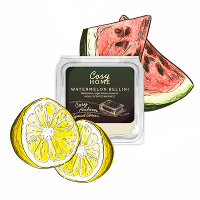 Cosy Home wax melt with watermelon and lemon design on a white background