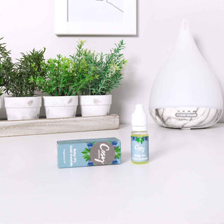 Baby It's Cold Outside Fragrance Oil.